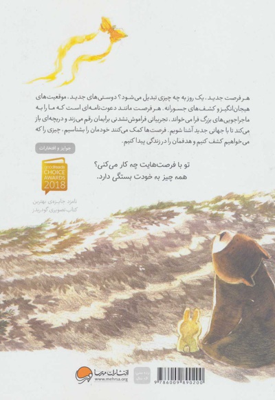 با یک فرصت چه کار می توانم بکنم؟